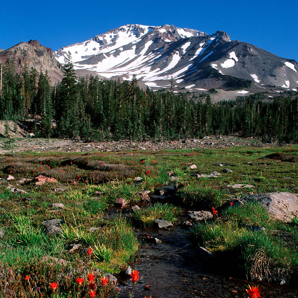 Mount Shasta Spiritual Adventure Retreat