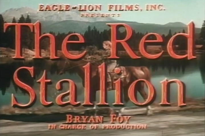 Red Stallion - Mount Shasta Ranch