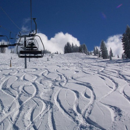 Mount Shasta Ski Park - Powder Run
