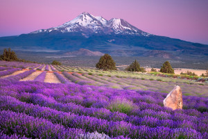 7th Annual Sacred Journey to Mount Shasta